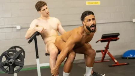 Angelo & Diego Silva